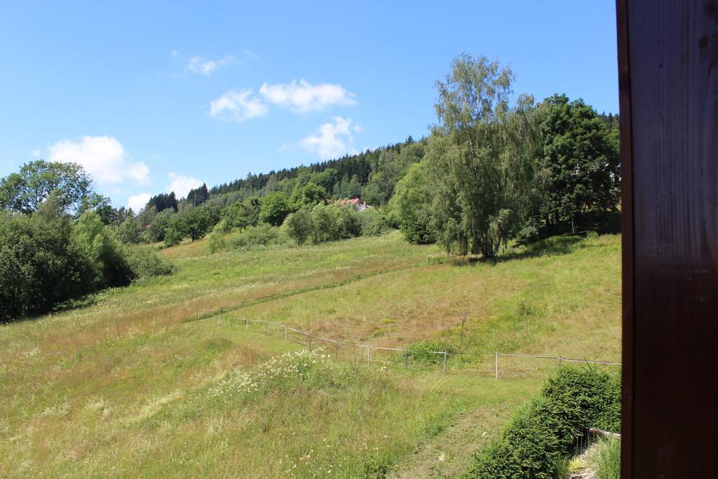 Apartmany Ruby Rokytnice nad Jizerou Exterior photo